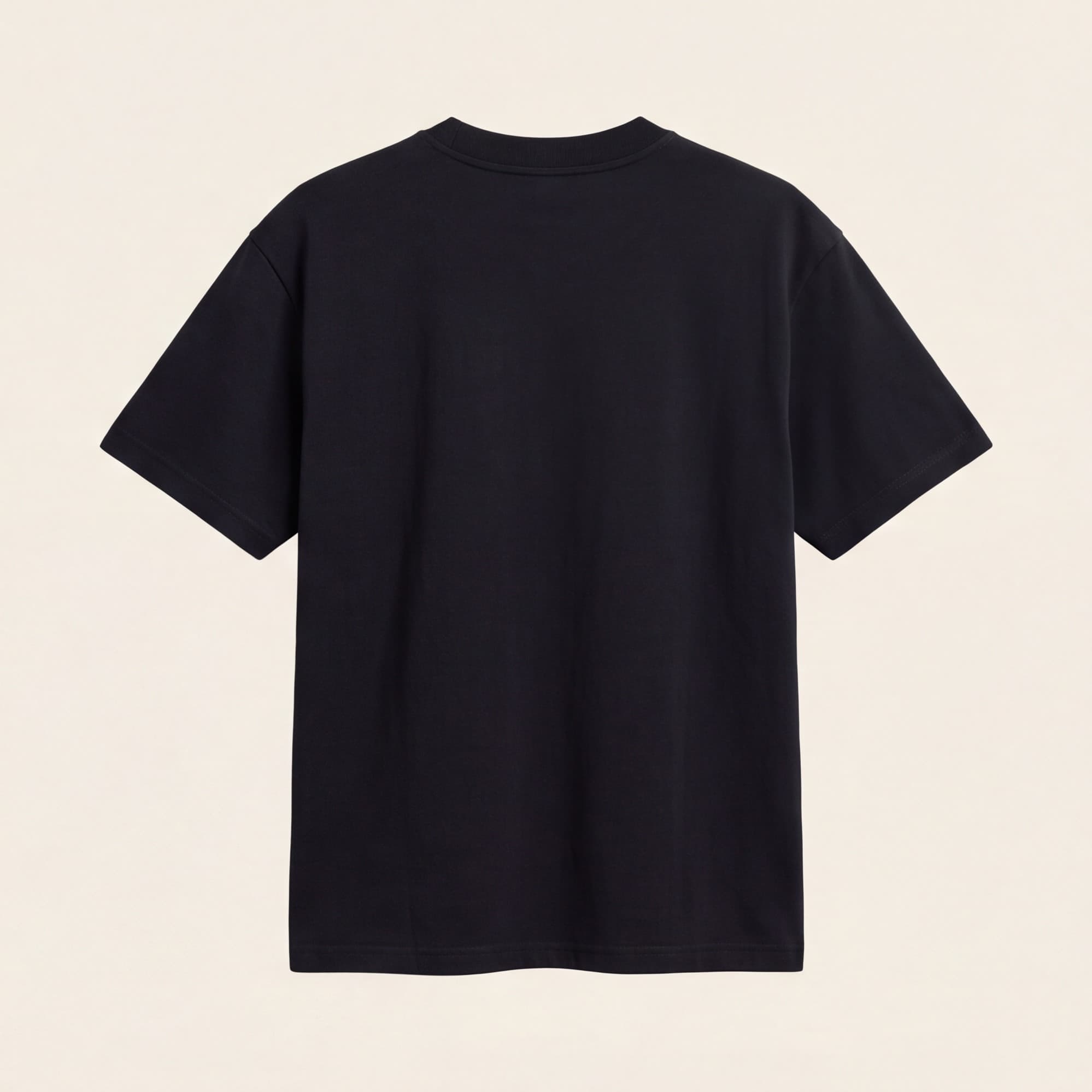 Camiseta Heavyweight Órbita